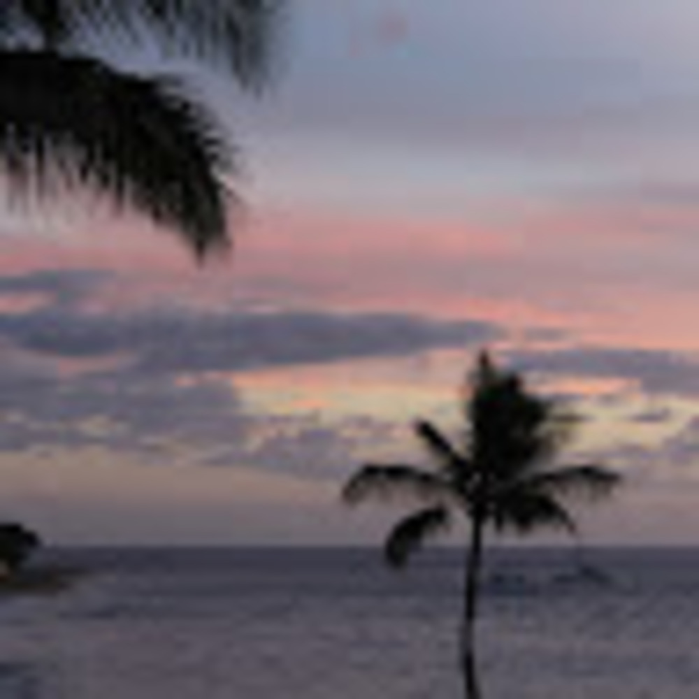 Meet your Posher, Ken